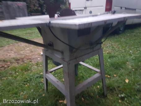Cylkularka do drzewa