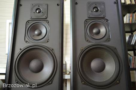 Imponujące DUAL CL-9040 Precyzyjne,  Jasne i Przestrzenne Brzmienie Wysyłka