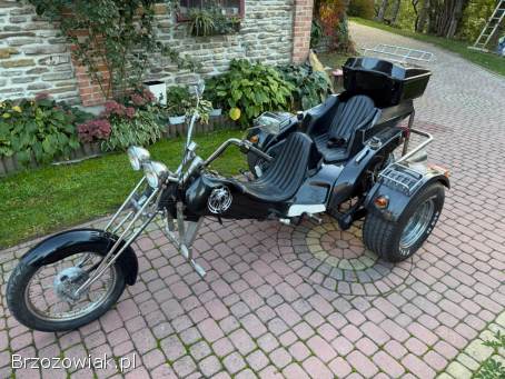 Trike Schreier Rassler13 1990