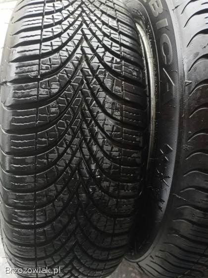 Opony wielosezonowe Dębica Navigator 3 175/65/R14