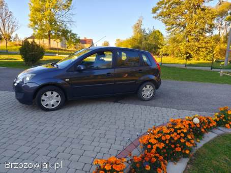 Ford Fiesta 2007
