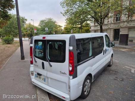 Renault Trafic 9 osobowy 2009
