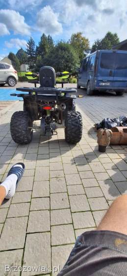 Quad 2024 XTR FIRESHOT Pro 125 FIRESHOT Pro 125