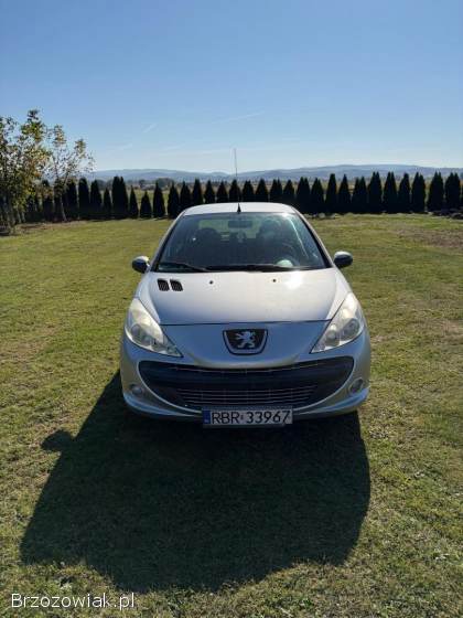 Peugeot 206 Plus 2009