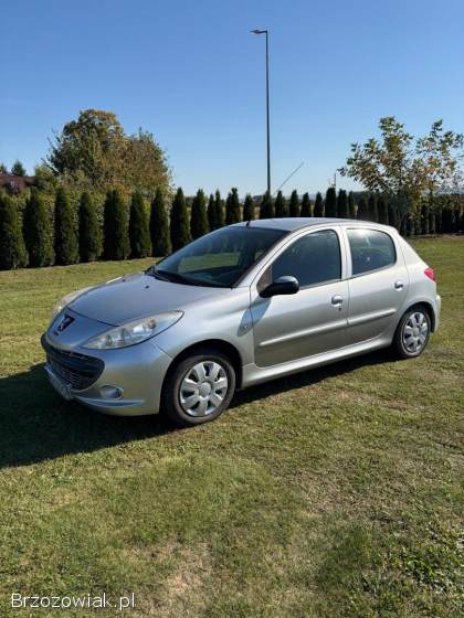 Peugeot 206 Plus 2009