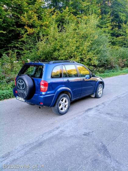 Toyota RAV4 2 2002