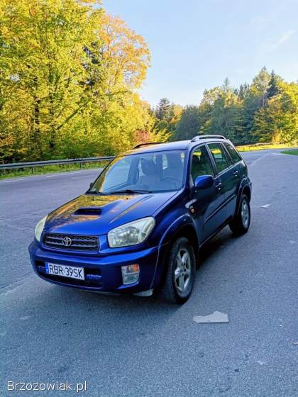 Toyota RAV4 2 2002