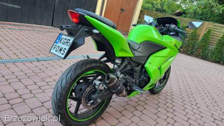 Kawasaki Ninja 250R 33KM 2010