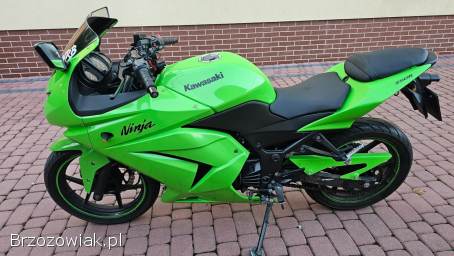 Kawasaki Ninja 250R 33KM BDB 2010