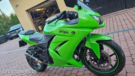 Kawasaki Ninja 250R 33KM BDB 2010