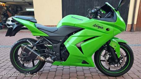 Kawasaki Ninja 250R 33KM BDB 2010