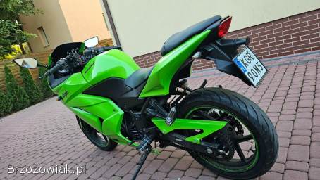 Kawasaki Ninja 250R 33KM BDB 2010