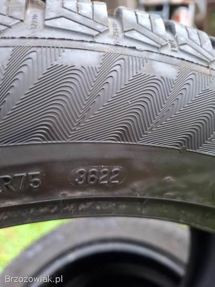 215/55R17 Opony zimowe Matador