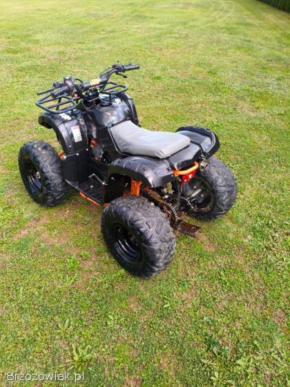 Quad KXD pro 125 3+1