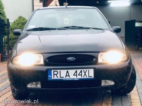 Ford Fiesta 1.  25 16V / 75KM  1998