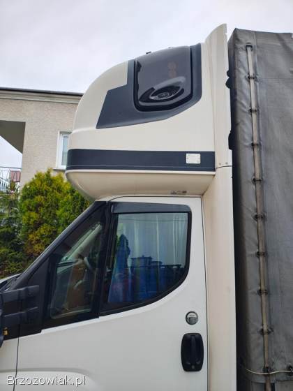 Kurnik sypialnia Iveco 2018
