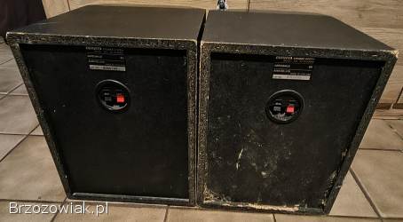 Mocne kolumny Aiwa SX-N999 Mk ll